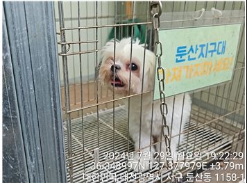 대전동물보호센터_430366202400372